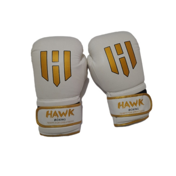 دستکش بوکس مدل HAWK B-92