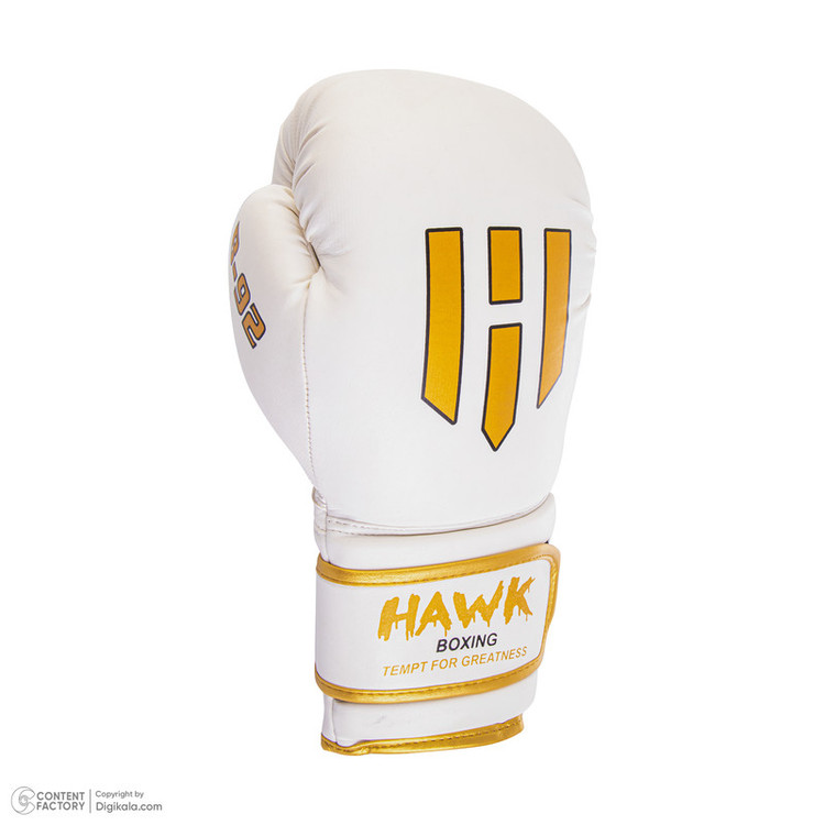 دستکش بوکس مدل HAWK LION
