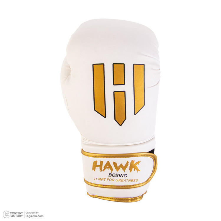 دستکش بوکس مدل HAWK LION