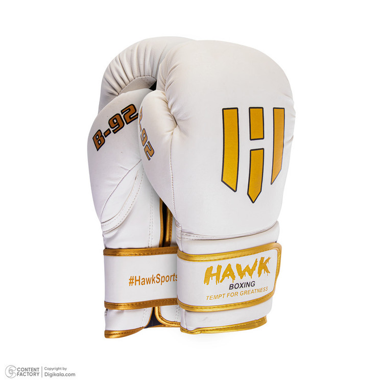 دستکش بوکس مدل HAWK LION