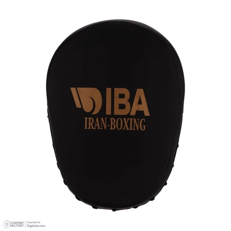 ست دستکش و میت گرین هیل آیبا aiba pro black