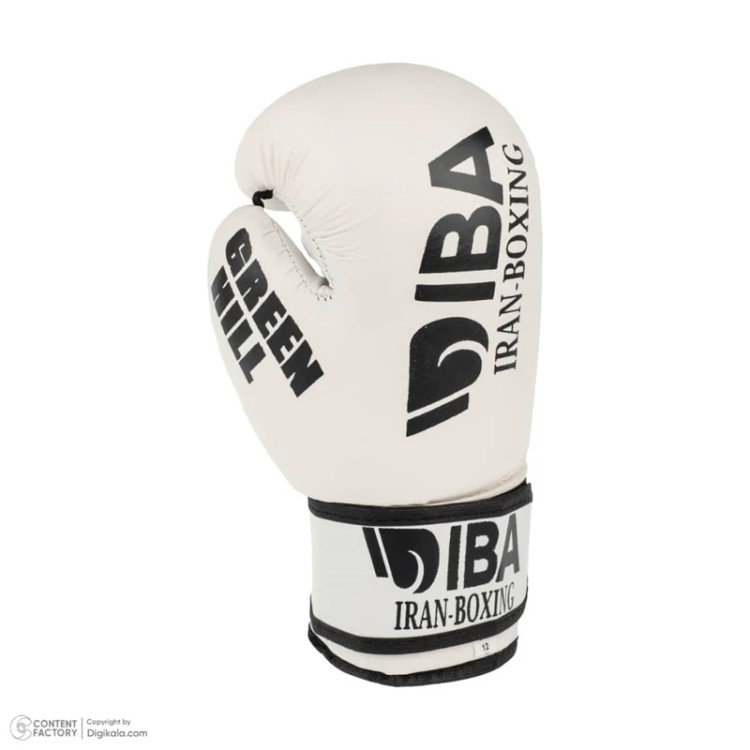 ست دستکش و کلاه گرین هیل aiba pro w.b