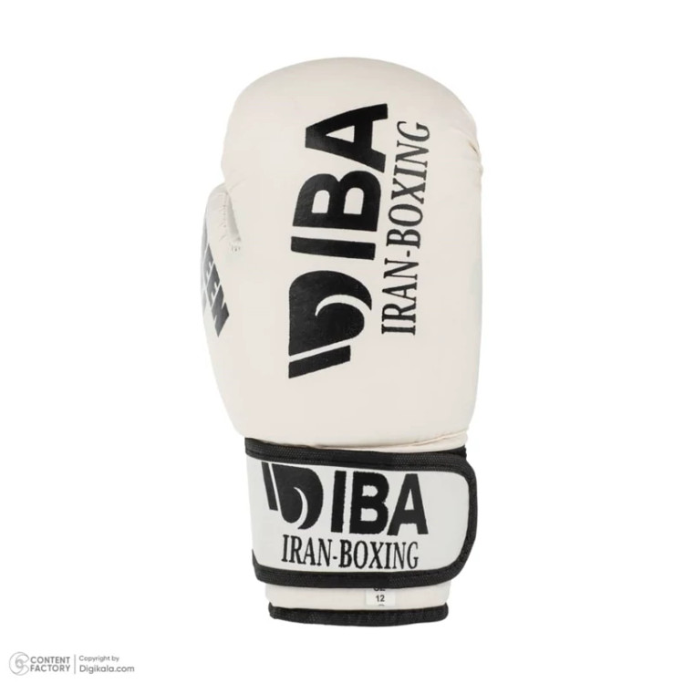 ست دستکش و کلاه گرین هیل aiba pro w.b
