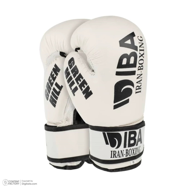 ست دستکش و کلاه گرین هیل aiba pro w.b