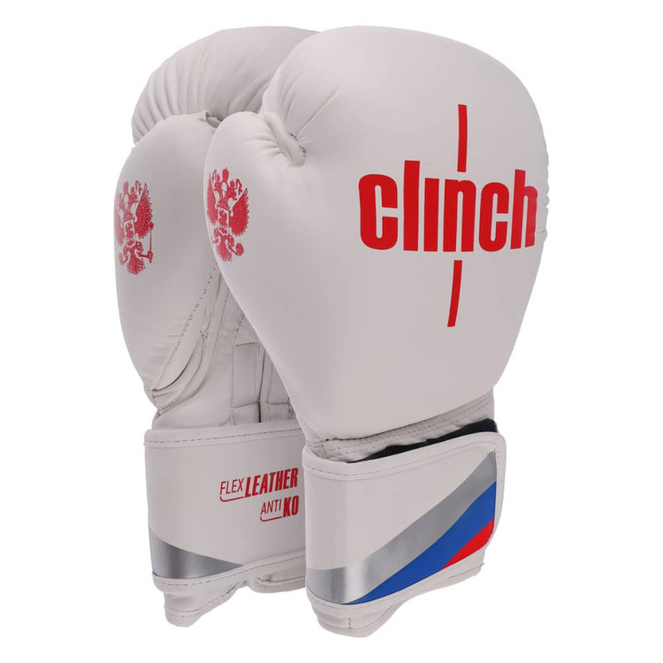 دستکش بوکس مدل Fiter pro 2025