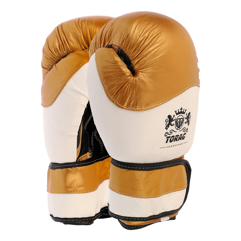 دستکش بوکس تورج مدل fiter pro 2027