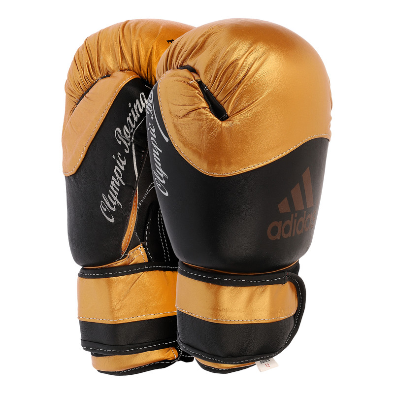 دستکش بوکس مدل Fiter pro 2020