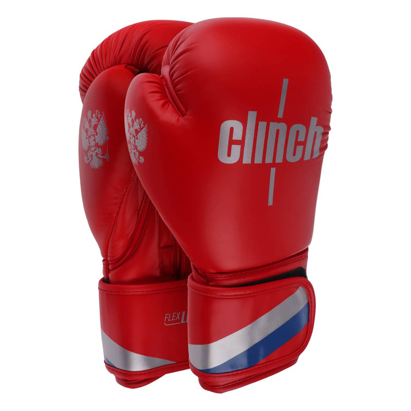 دستکش بوکس مدل Fiter pro 2025