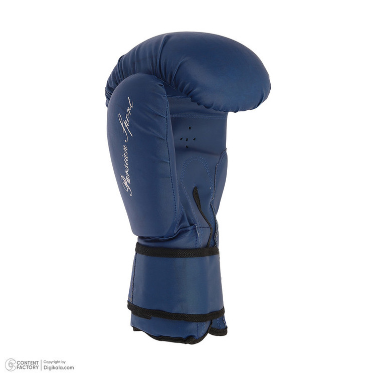دستکش بوکس گرین هیل مدل Fiter pro 1404