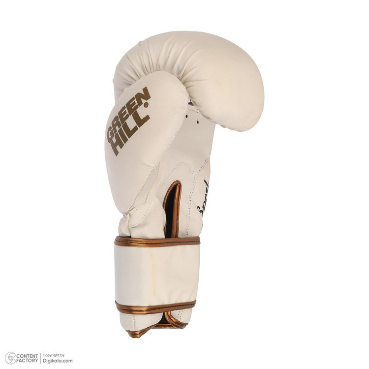 دستکش بوکس گرین هیل مدل aiba pro 2002