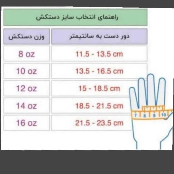 دستکش بوکس مدل TROP ETHIK 2025