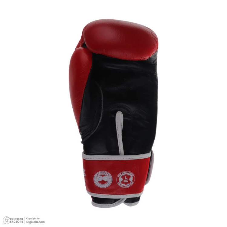 دستکش بوکس دان مدل DAN BOXING